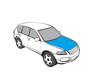 Бронювання капота повністю JUKE F16 (35122)