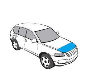 Бронювання частини капоту X-Trail T33 (37502)